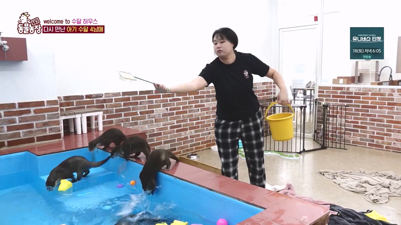 TV 동물농장.E1145.231113p-NEXT.mp4_20231112_173438.575.jpg