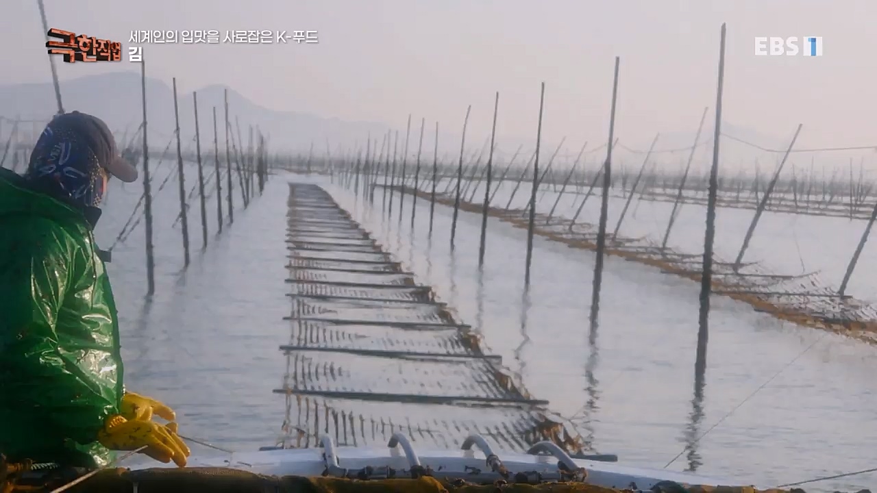 TV - 교육의 중심 EBS세계인의 입맛을 사로잡은 K-푸드.mp4_20230211_183515.368.jpg