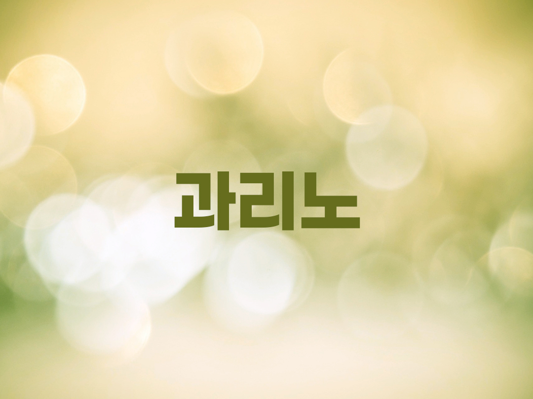 과리노 천주교 남자세례명 2인 목록