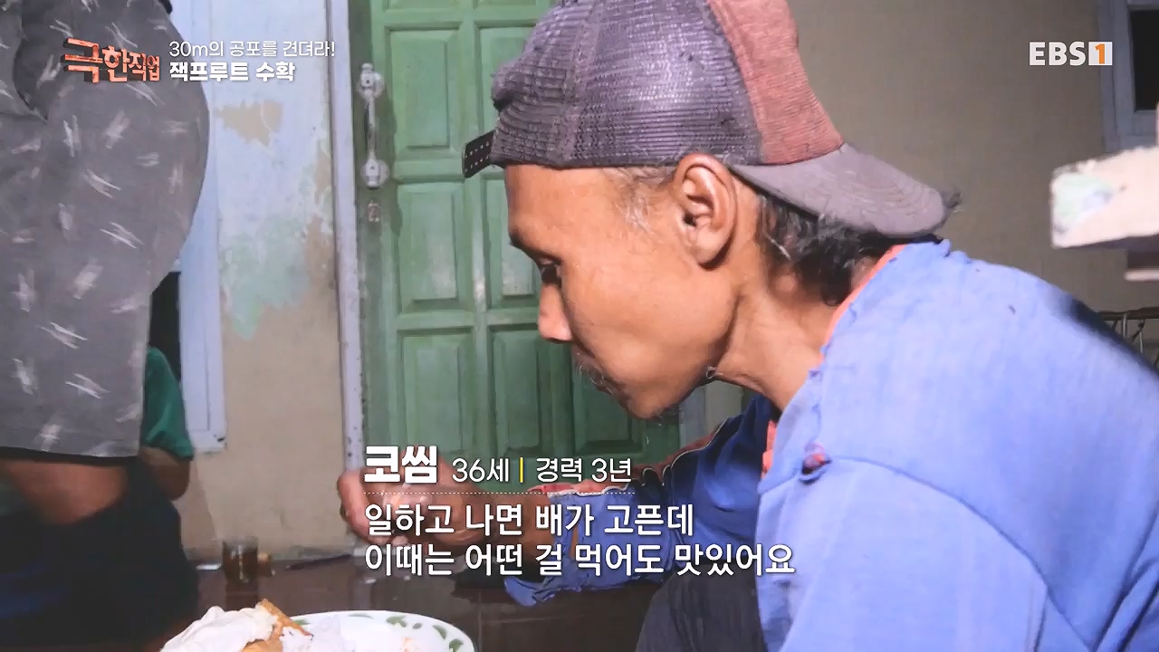 TV - 전 국민의 평생학교 EBS30m의 공포를 견뎌라! 인도네시아 열대과일 수확.mp4_20240103_200549.062.jpg