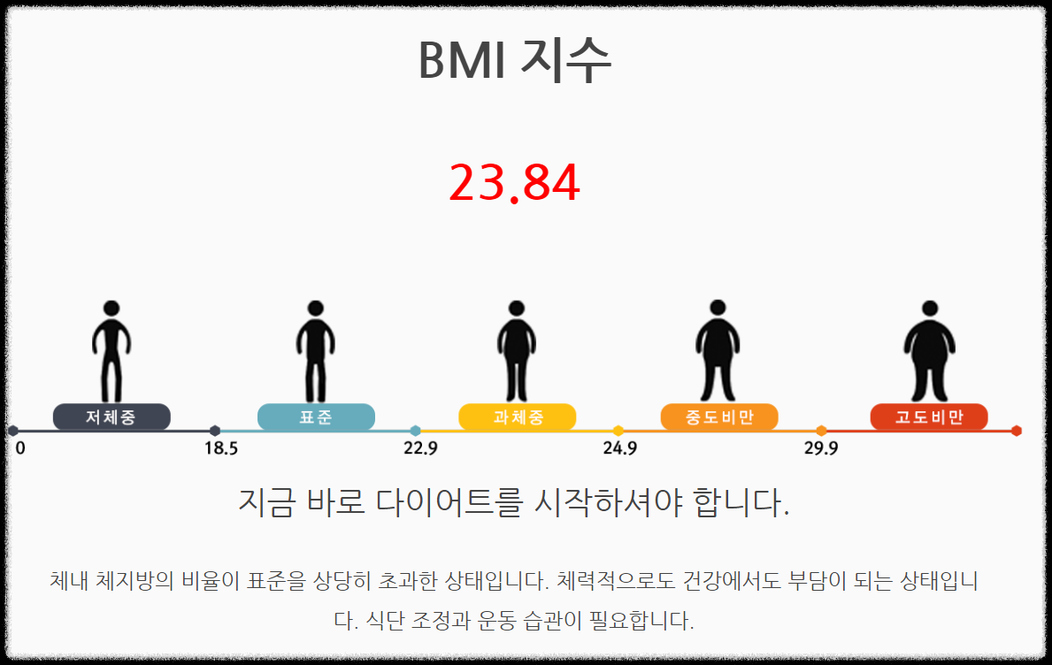 BMI-지수