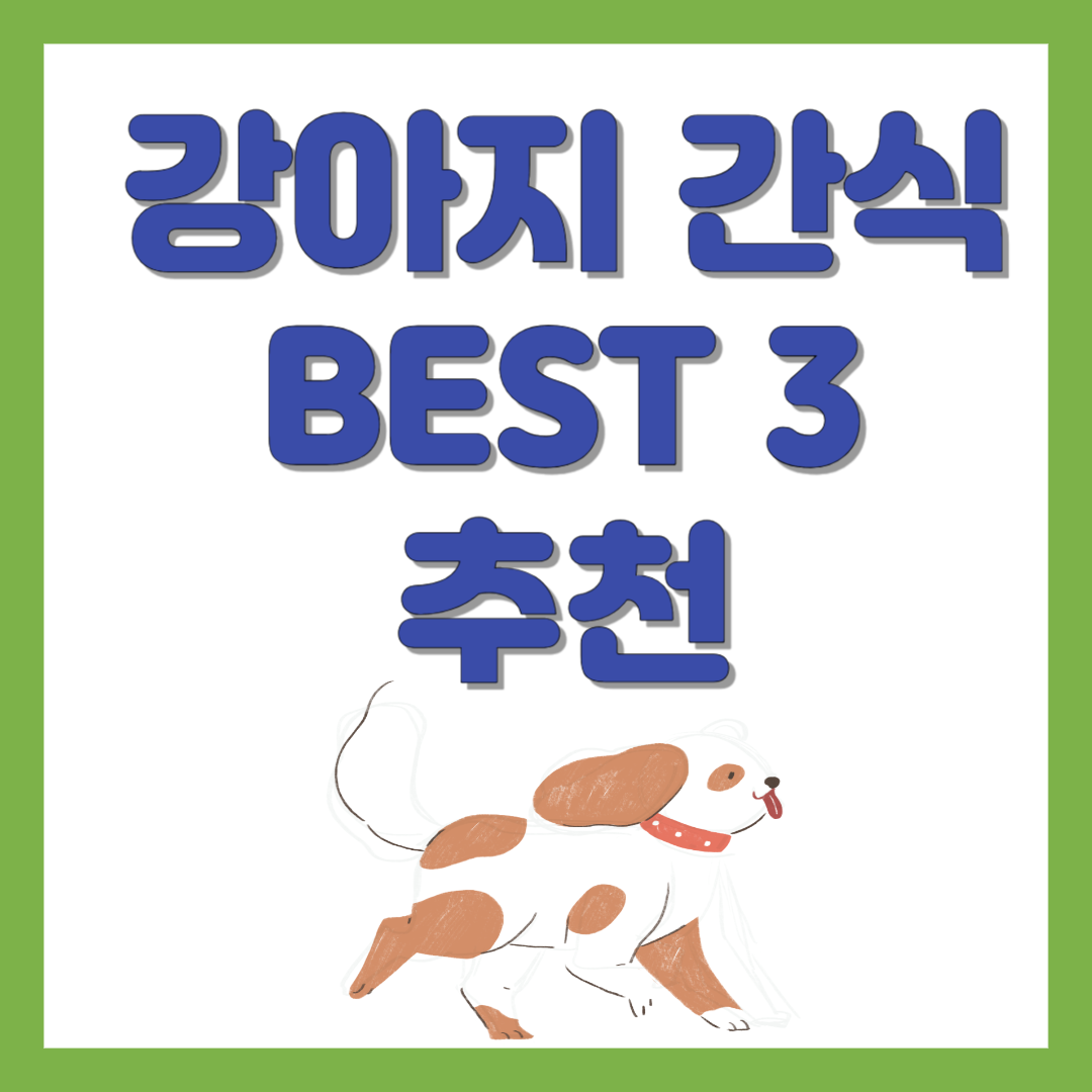 강아지 간식 추천 BEST 3