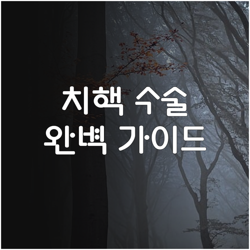치핵 수술 후 관리 완벽 가이드 통증