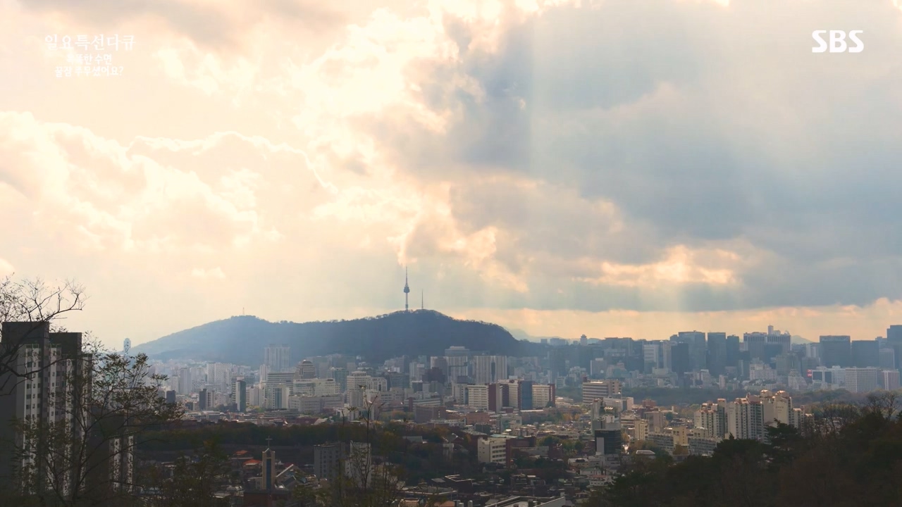 일요특선 다큐멘터리.E345.231211p-NEXT.mp4_20231215_212040.254.jpg