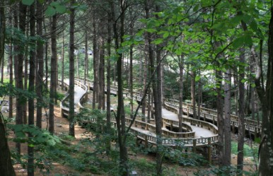 산음자연휴양림 예약 가이드: 숲나들e로 손쉬운 예약 방법 체크포인트
