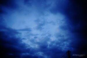  바사왕 다리오.(스5:1~17)