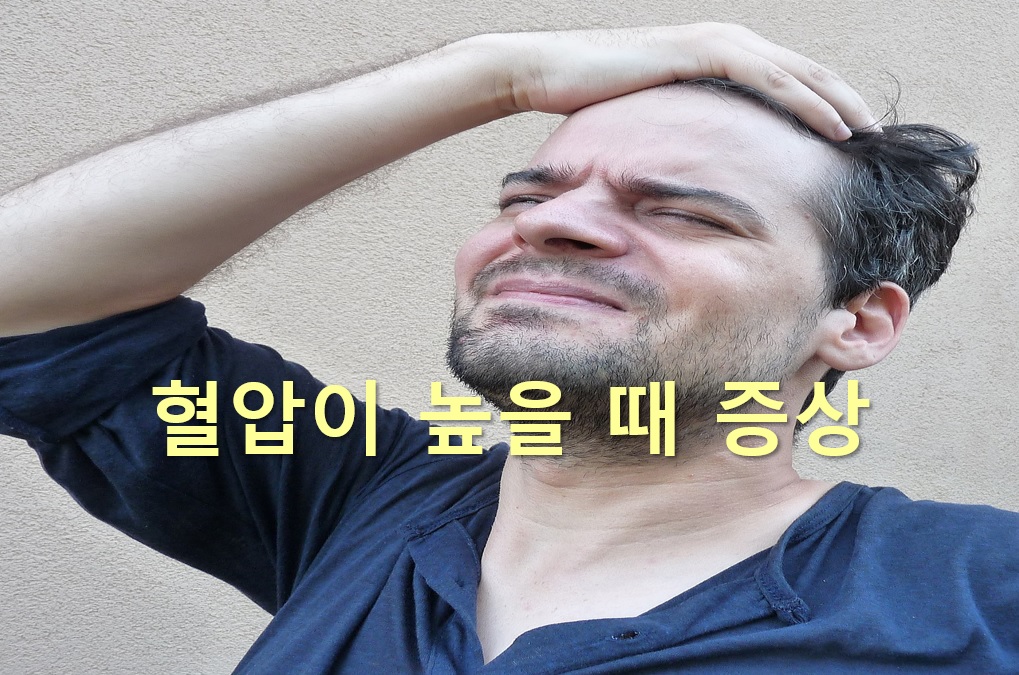  혈압이 높을 때 증상과 혈압 낮추는 음식