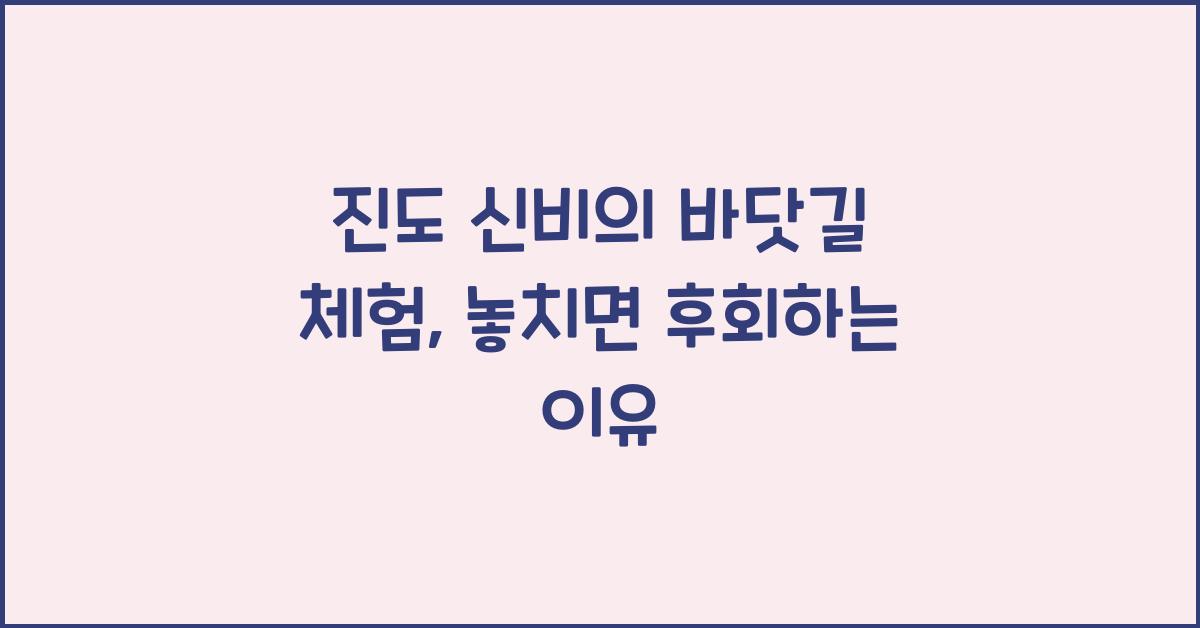 진도 신비의 바닷길 체험