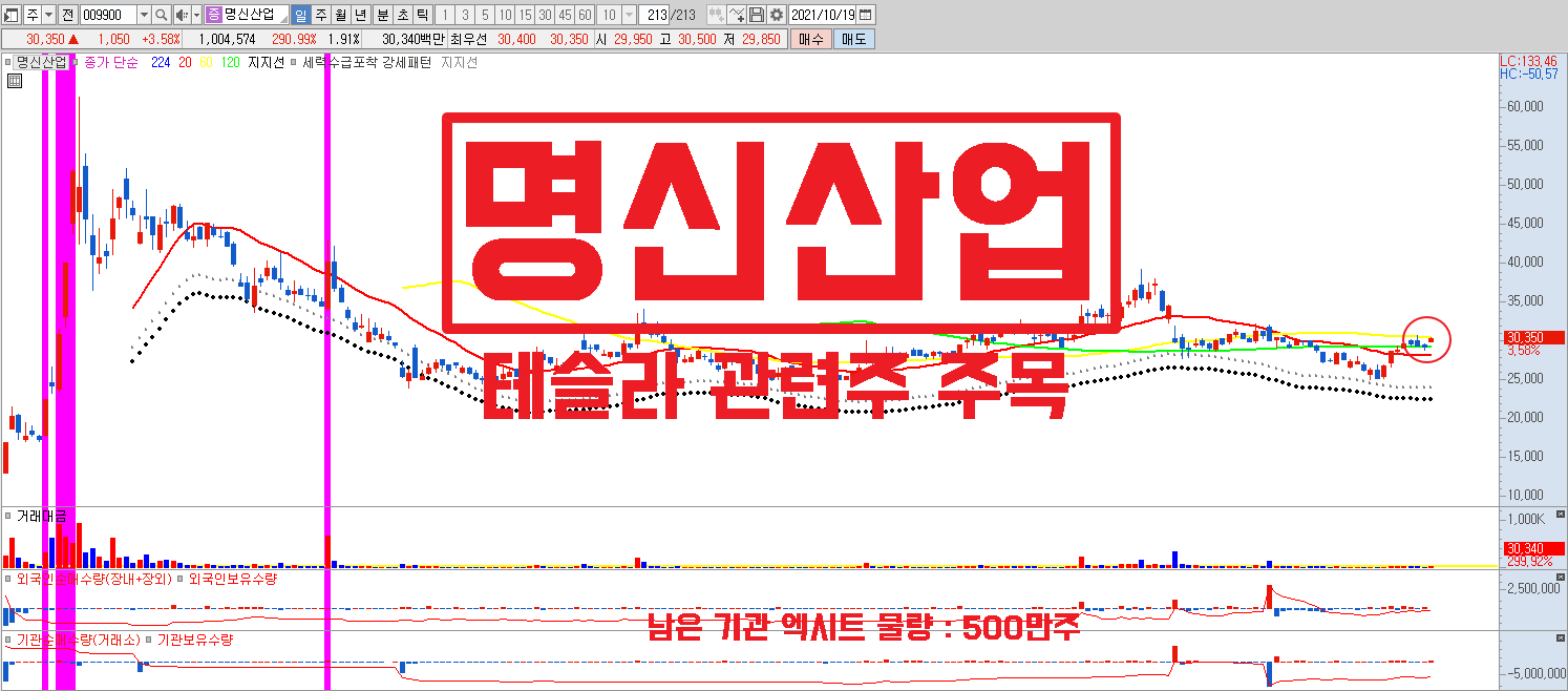 테슬라 관련주 명신산업 주가 전망, 마이클버리 테슬라 하락배팅 끝. 주가 상승 시작