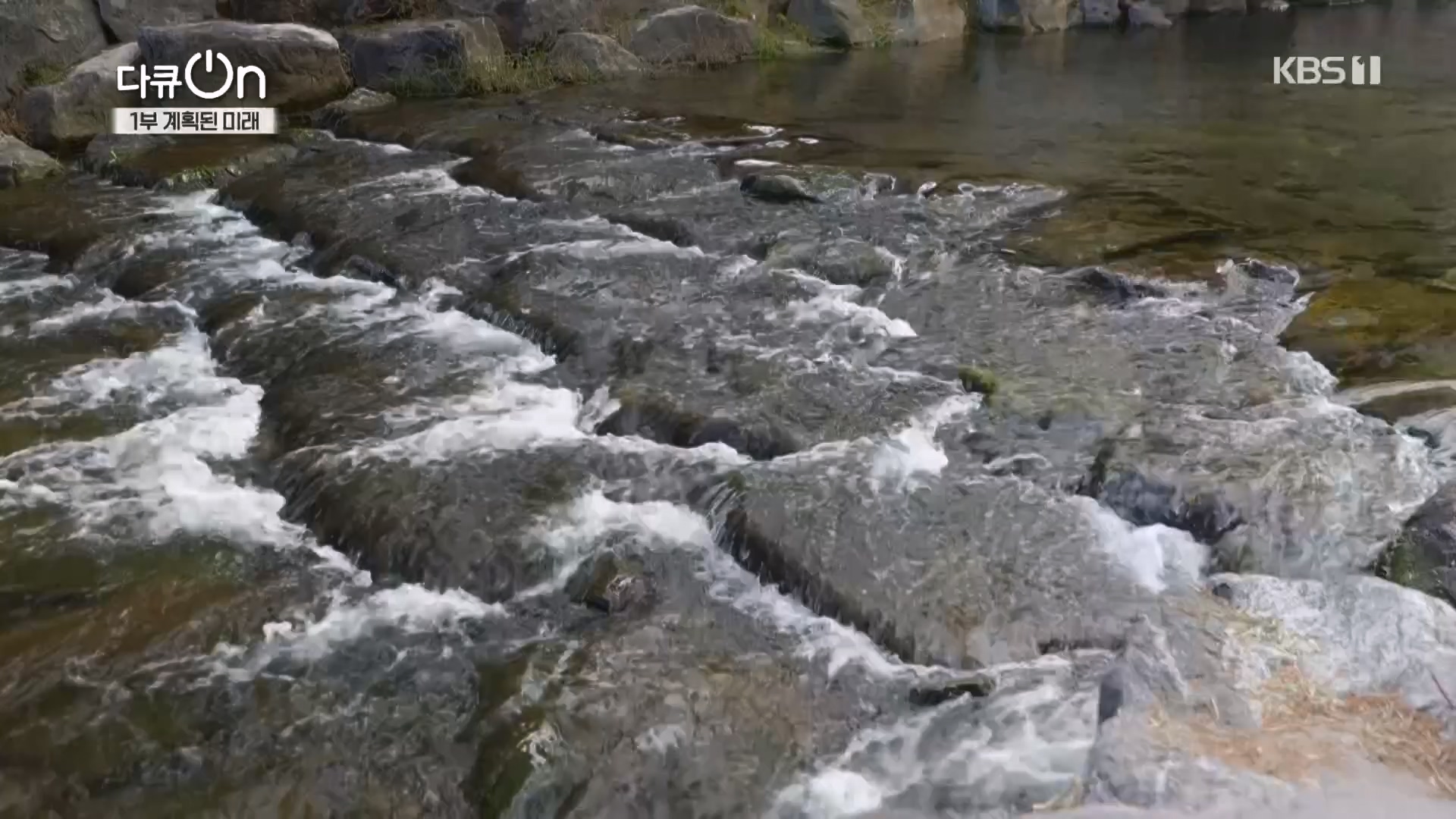 다큐 On.E224.231111p.H264-F1RST.mp4_20231112_182658.749.jpg