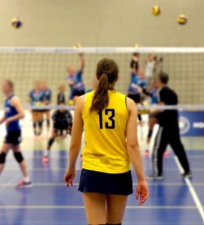 VALLYBALL