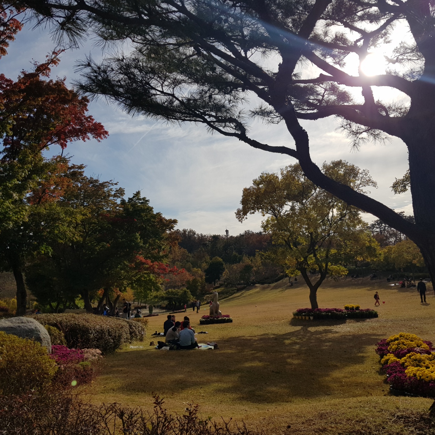  충남 아산 천안 오토캠핑장 영인산 자연휴양림