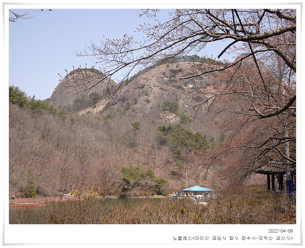 그린세탁 이미지