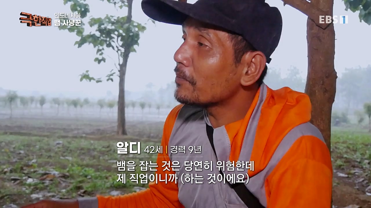 TV - 교육의 중심 EBS인도네시아 뱀사냥꾼.mp4_20221211_181507.039.jpg