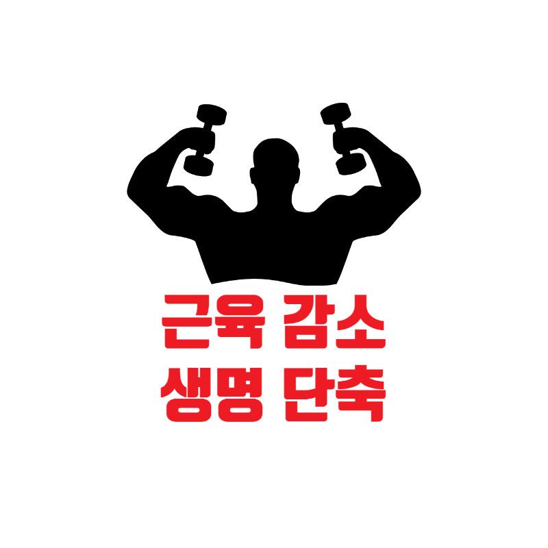  근육감소증 심각성 원인 증상 식단 운동 알아보기