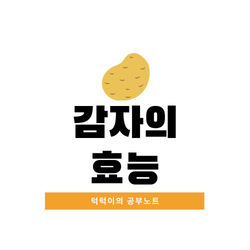  감자의 효능 제대로