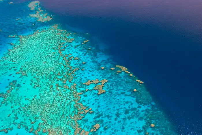 그레이트 배리어 리프 (Great Barrier Reef)