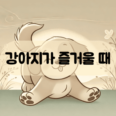강아지가 신나고 즐거울 때