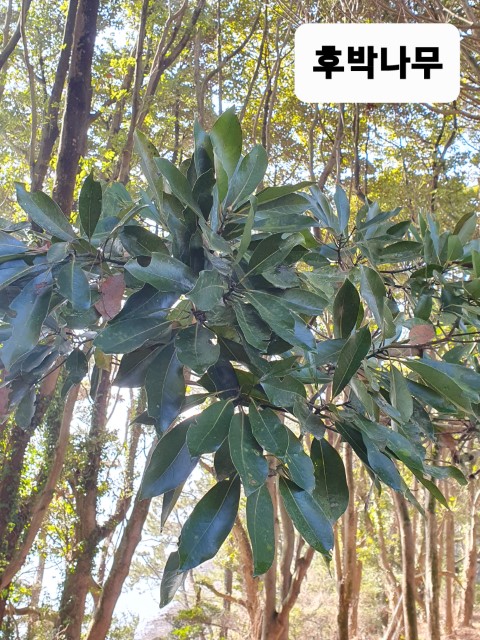 2023. 2. 23. 고흥여행 38