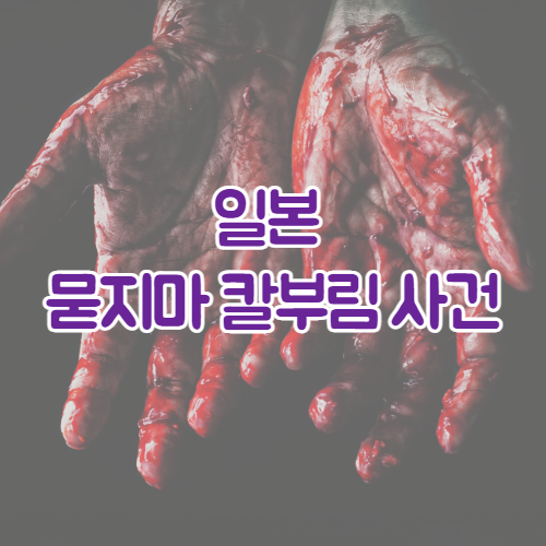  '행복해 보이는 사람을 많이 죽일 수 있다'라며 일본 전철서 묻지마 칼부림