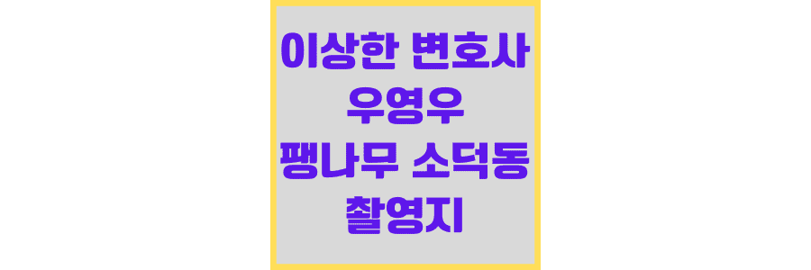 이상한-변호사-우영우-팽나무-소덕동-촬영지