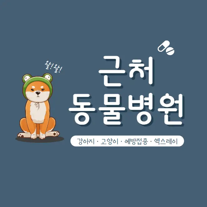  근처 동물병원 찾기 내 주변 강아지 고양이 병원 리스트