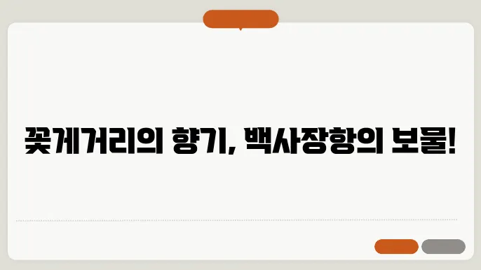 안면도 백사장항 주변 볼거리 3가지(꽃게거리, 수산시장, 해상인도교)