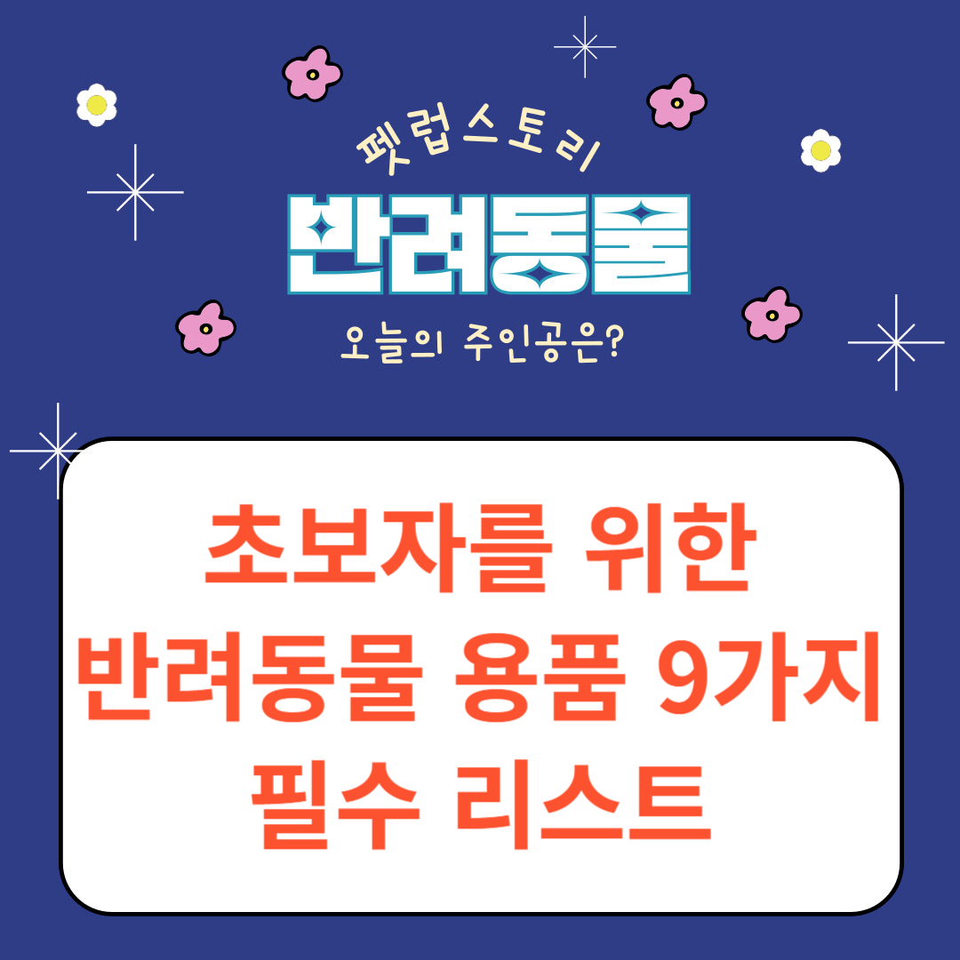 초보자를 위한 반려동물 용품 9가지 필수 리스트