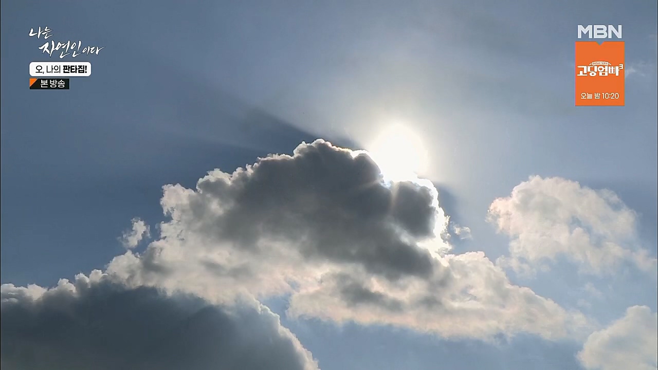 나는 자연인이다.E546.230323p.H264-F1RST.mp4_20230323_201538.356.jpg