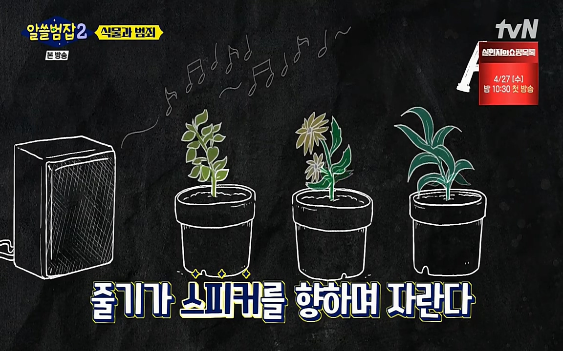 알쓸범잡 2.E15.220425p-NEXT.mp4_20220425_174637.498.jpg