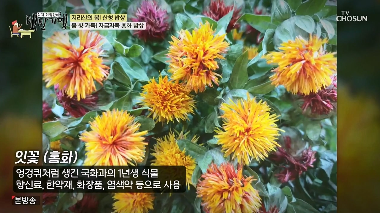 식객 허영만의 백반기행.E241.240332p-NEXT.mp4_20240401_193409.651.jpg