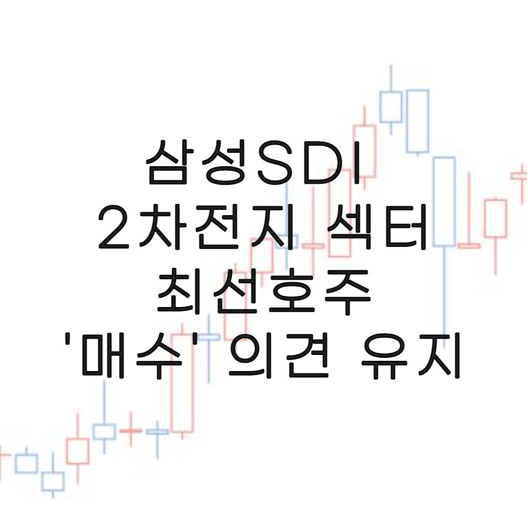 주식-삼성SDI