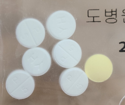 소론도정 정제 처방제