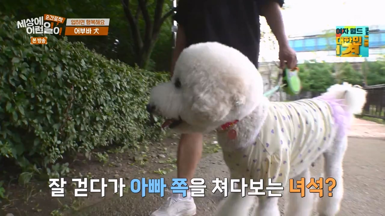 순간포착 세상에 이런일이.E1238.230723p-NEXT.mp4_20230724_205439.877.jpg