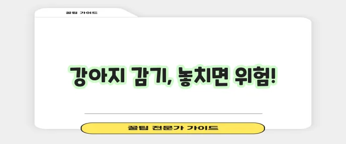 강아지 감기 증상 꼭 알아두고 건강 관리 힘쓰세요!