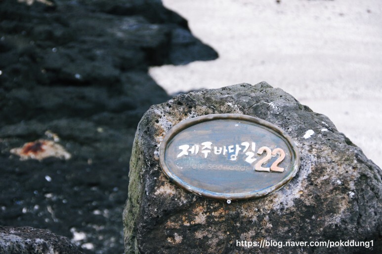 마당한동 이미지