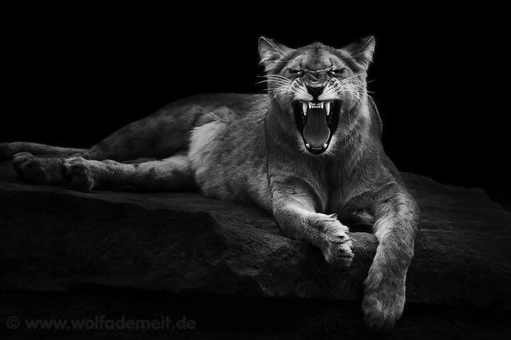 울프 아데미트(Wolf Ademeit)&#44; 독일&#44; 라인베르크&#44; 사진작가&#44; 1954-현재