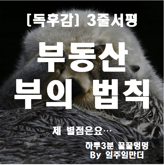 부동산 부의 법칙 독후감