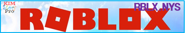 Roblox Corp(RBLX:NYS) 메타버스 산업의 대표주자 '로블록스'