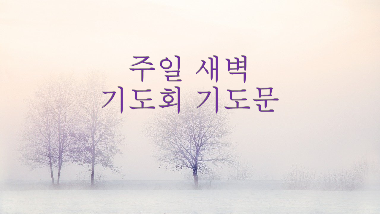  주일새벽기도회 기도문