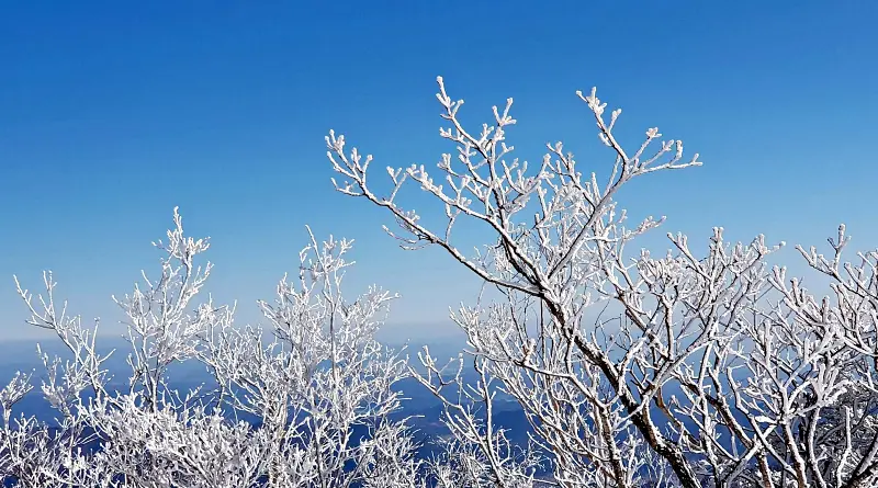 지리산 설경 상고대