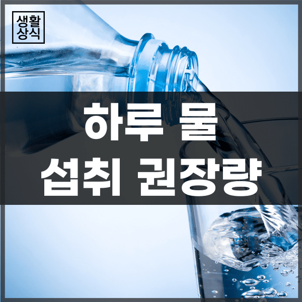  하루 물 섭취 권장량 (섭취량), 물을 많이 마시면 좋을까?