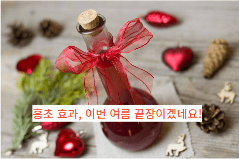  홍초 효과 6가지, 이번 여름 반드시 필요하겠는데요?