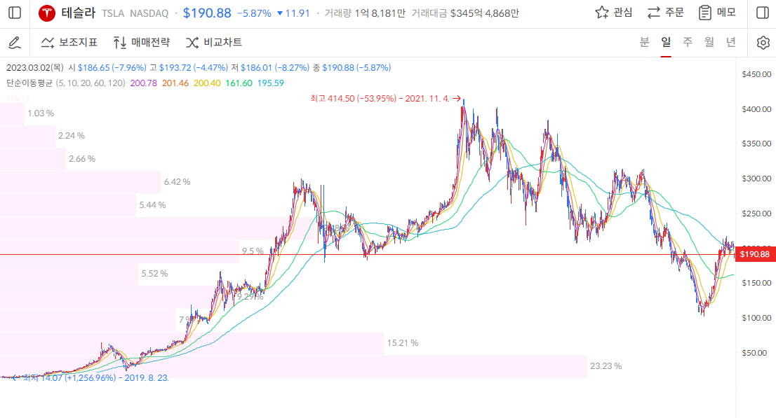 테슬라 주가-일봉