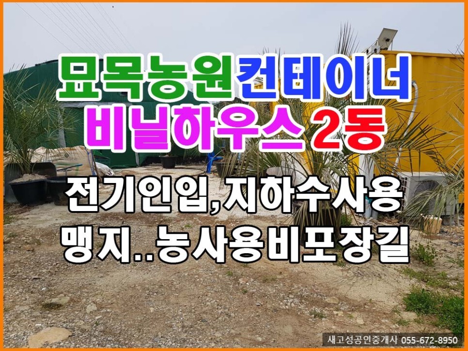  경남고성부동산(토지) ㅡ 묘목농원으로 사용중인 토지 매매.. 비닐하우스2동
