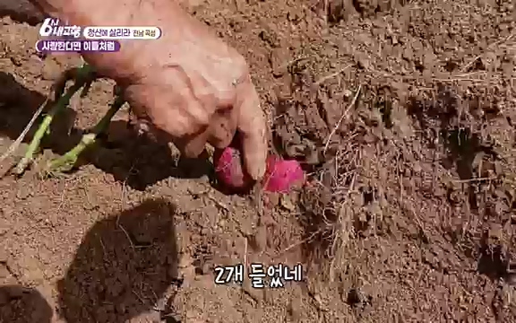 [7613회] 6시 내고향 - KBS7613회] 6시 내고향.ts_20220913_205415.514.jpg
