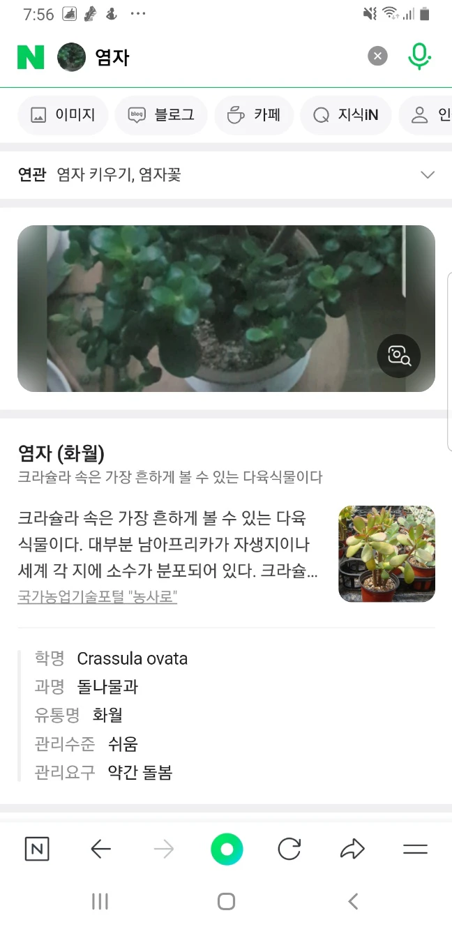 스마트 렌즈 활용 결과