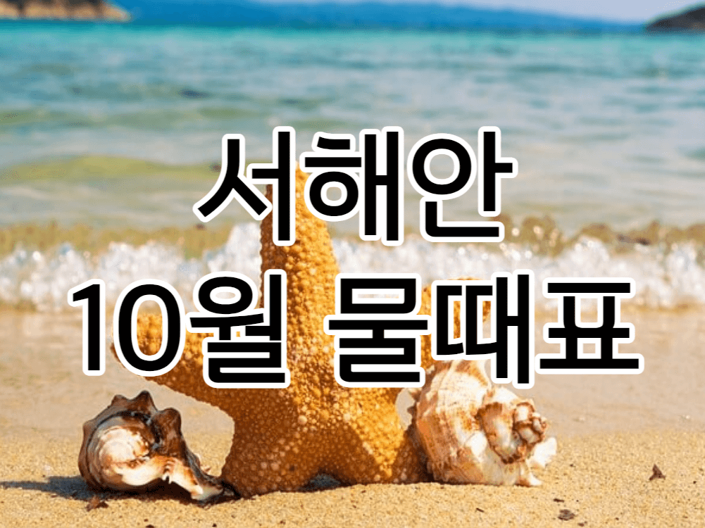  2022년 10월 서해안 해루질 물때표