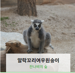 전주동물원