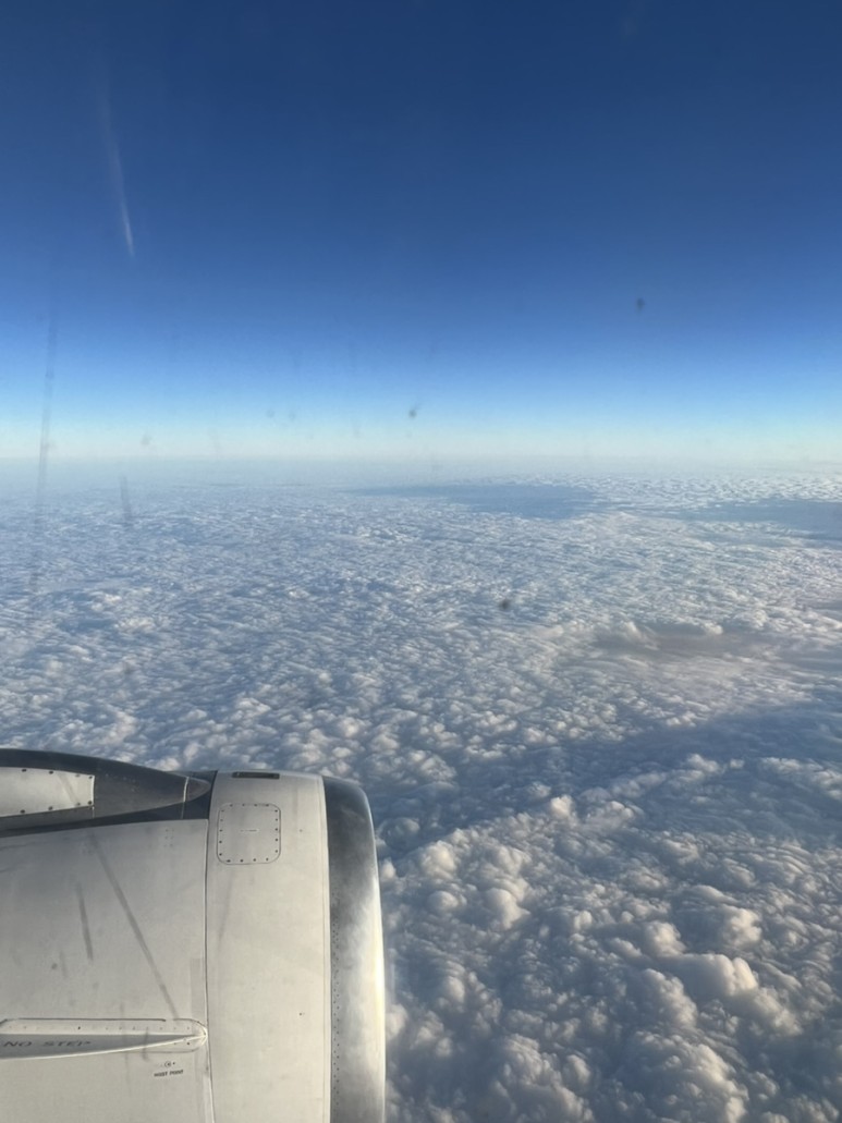 혈액검사 핵산검사와 항체검사() 지정병원, 공항 17